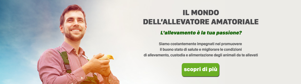 Allevatore amatoriale