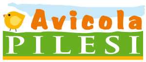 Avicola Pilesi