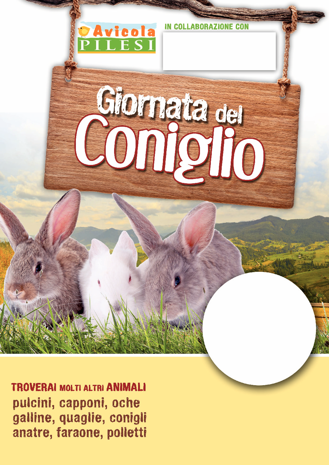 Coniglio