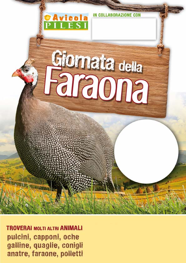 Faraona