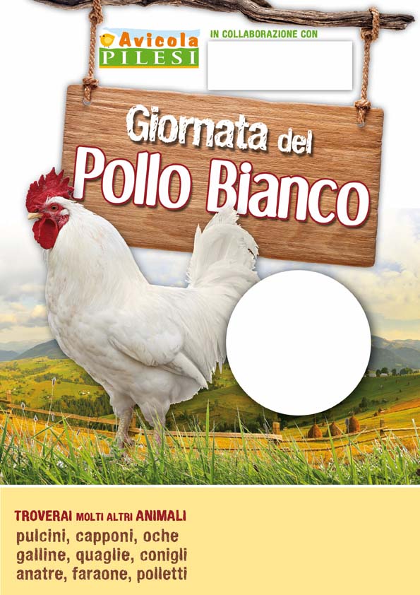 GalloBianco