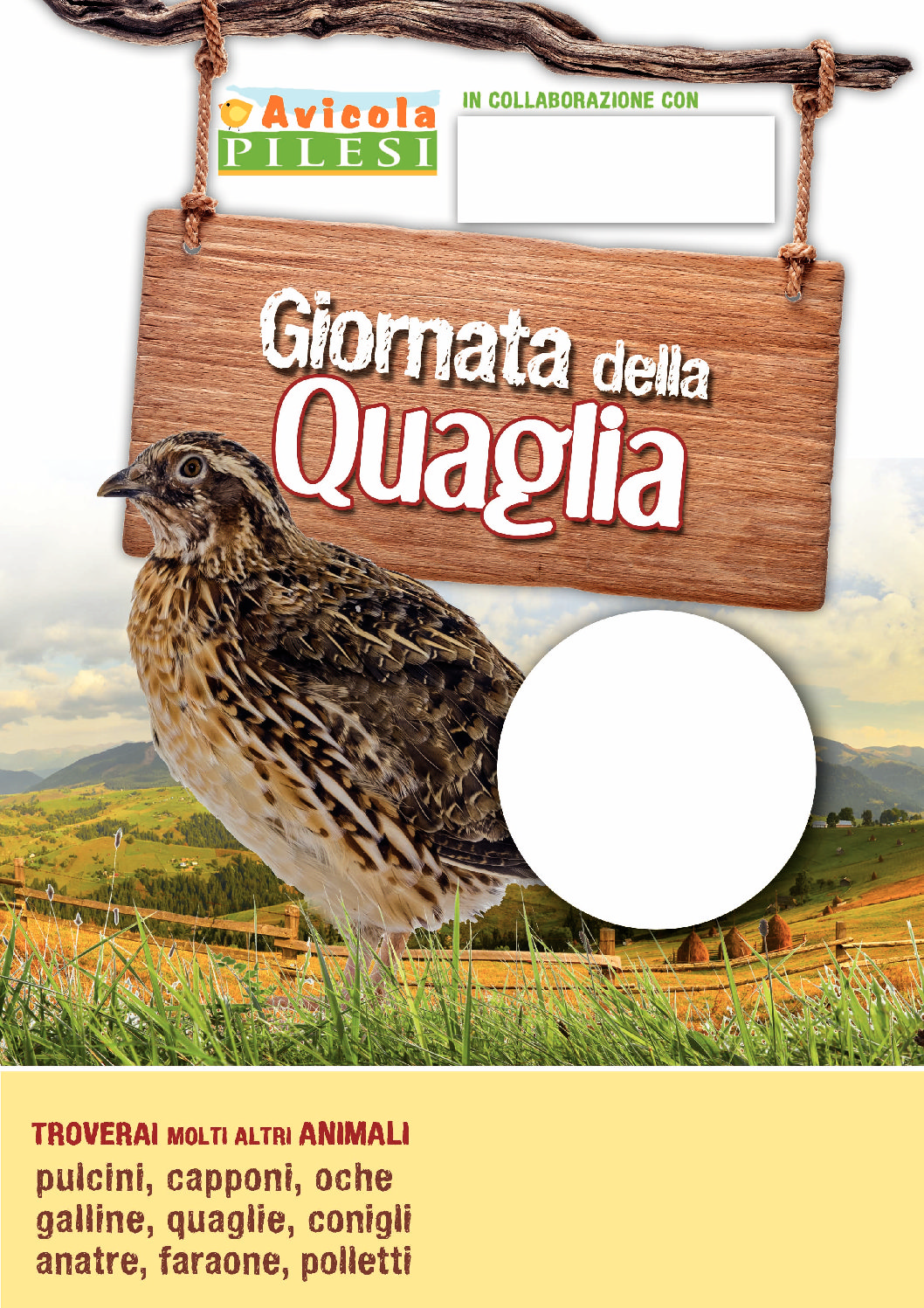 Quaglia