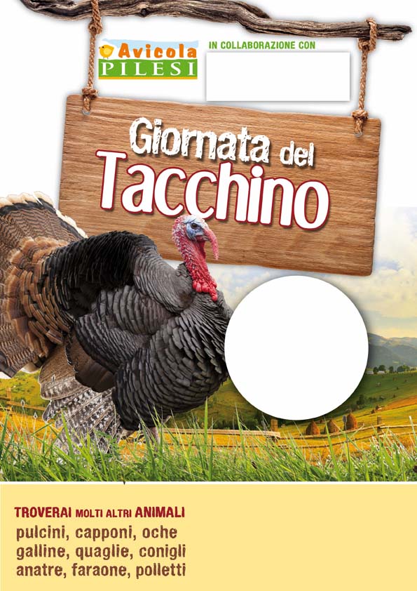 Tacchino